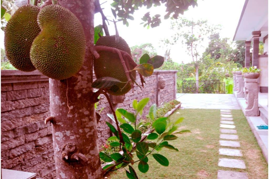 The Lod Villa Ubud  Ngoại thất bức ảnh